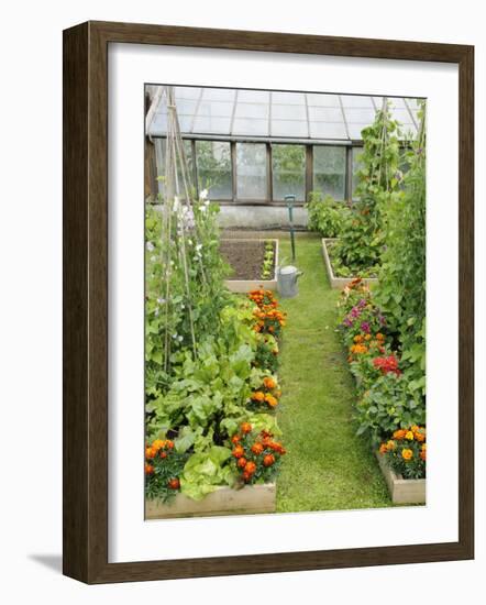 Summer Garden with Mixed Vegetables and Flowers Growing in Raised Beds with Marigolds, Norfolk, UK-Gary Smith-Framed Photographic Print