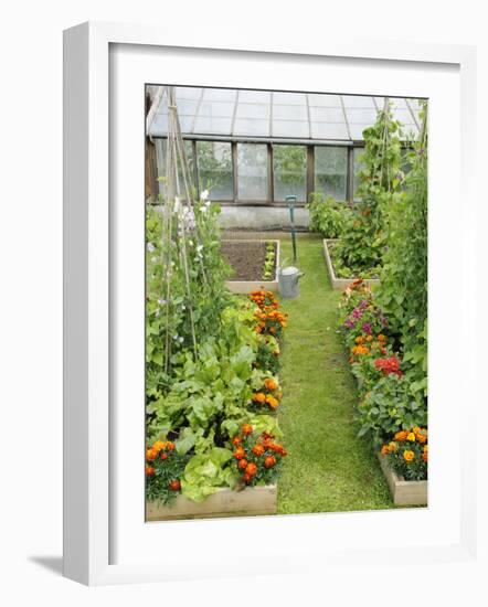 Summer Garden with Mixed Vegetables and Flowers Growing in Raised Beds with Marigolds, Norfolk, UK-Gary Smith-Framed Photographic Print