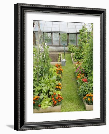 Summer Garden with Mixed Vegetables and Flowers Growing in Raised Beds with Marigolds, Norfolk, UK-Gary Smith-Framed Photographic Print