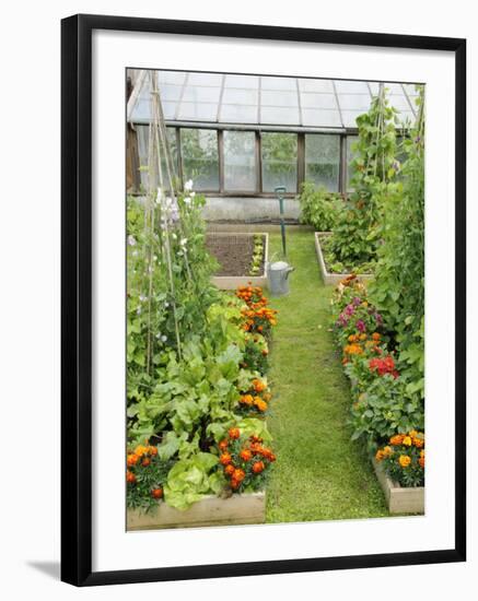 Summer Garden with Mixed Vegetables and Flowers Growing in Raised Beds with Marigolds, Norfolk, UK-Gary Smith-Framed Photographic Print