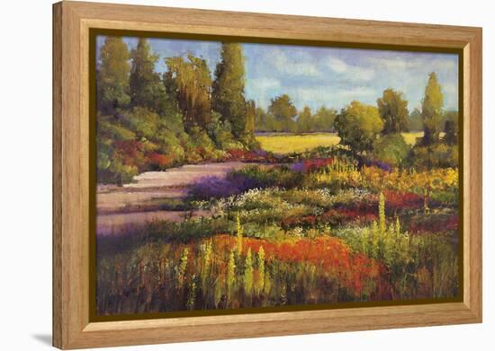 Summer Garden-Patrick-Framed Stretched Canvas