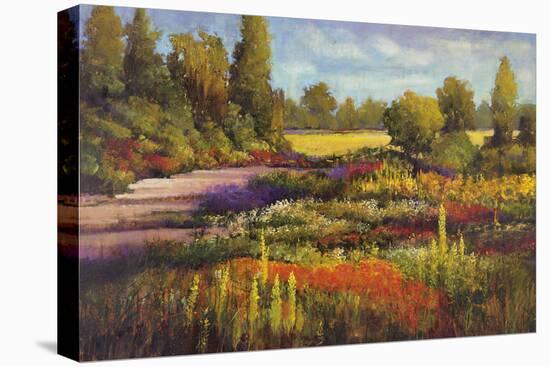 Summer Garden-Patrick-Framed Stretched Canvas