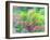 Summer Garden-William Ireland-Framed Giclee Print