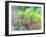 Summer Garden-William Ireland-Framed Giclee Print