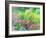 Summer Garden-William Ireland-Framed Giclee Print