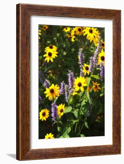 Summer Glory I-Alan Hausenflock-Framed Photographic Print