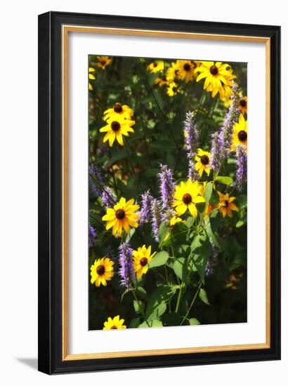 Summer Glory I-Alan Hausenflock-Framed Photographic Print