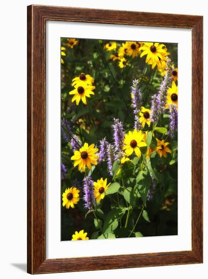 Summer Glory I-Alan Hausenflock-Framed Photographic Print