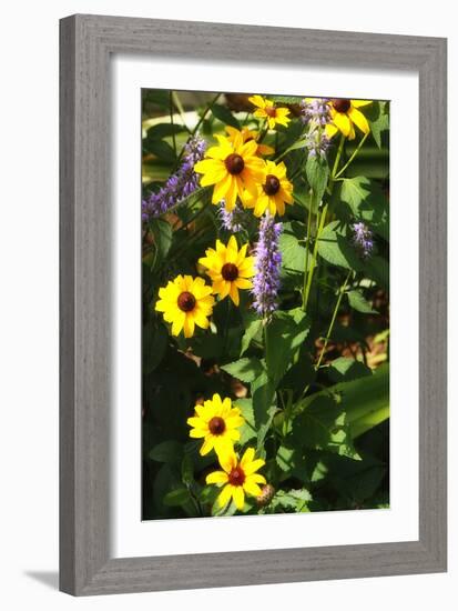 Summer Glory II-Alan Hausenflock-Framed Photographic Print