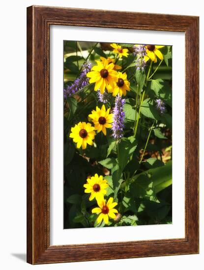 Summer Glory II-Alan Hausenflock-Framed Photographic Print