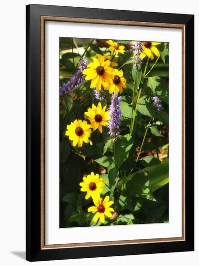 Summer Glory II-Alan Hausenflock-Framed Photographic Print