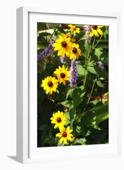 Summer Glory II-Alan Hausenflock-Framed Photographic Print