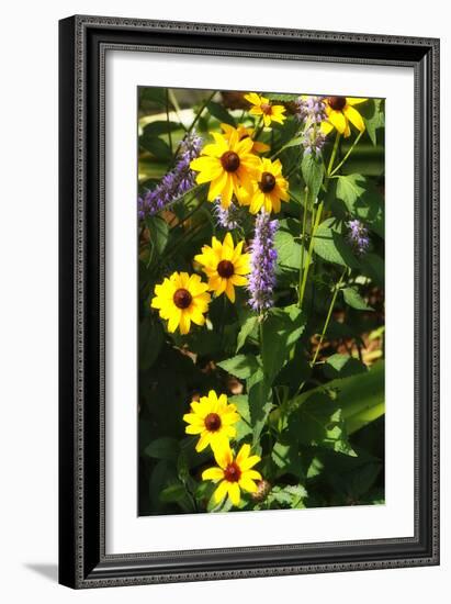 Summer Glory II-Alan Hausenflock-Framed Photographic Print