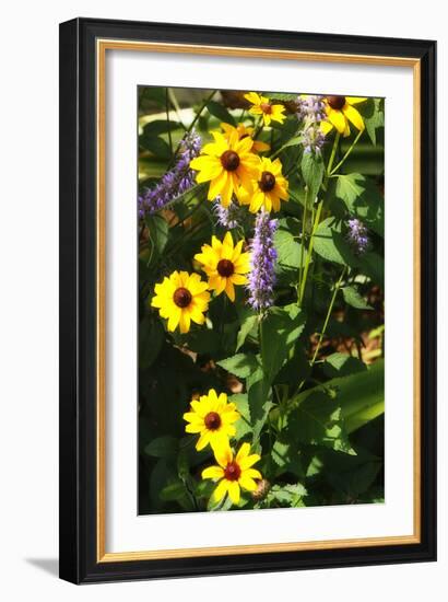 Summer Glory II-Alan Hausenflock-Framed Photographic Print