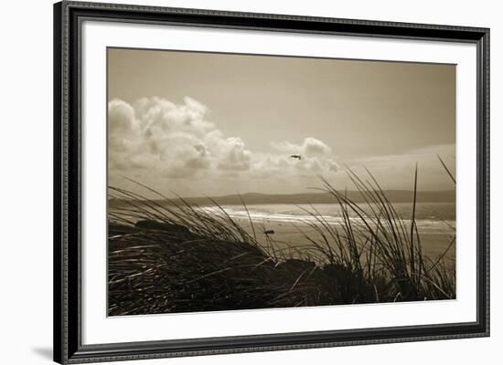 Summer Grasses-Malcolm Sanders-Framed Giclee Print