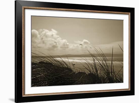 Summer Grasses-Malcolm Sanders-Framed Giclee Print