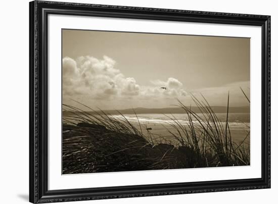 Summer Grasses-Malcolm Sanders-Framed Giclee Print