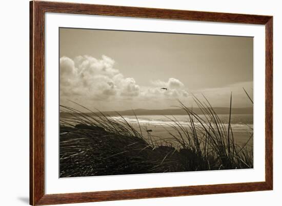 Summer Grasses-Malcolm Sanders-Framed Giclee Print