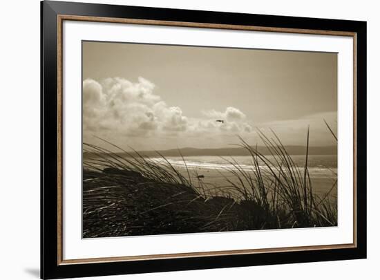 Summer Grasses-Malcolm Sanders-Framed Giclee Print