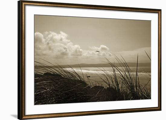 Summer Grasses-Malcolm Sanders-Framed Giclee Print