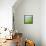 Summer green-Hyunah Kim-Framed Stretched Canvas displayed on a wall