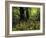 Summer Green-John Morrow-Framed Giclee Print