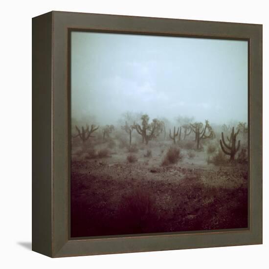 Summer Hail and Thunderstorm Falling on Desert-Loomis Dean-Framed Premier Image Canvas
