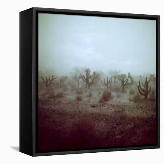 Summer Hail and Thunderstorm Falling on Desert-Loomis Dean-Framed Premier Image Canvas