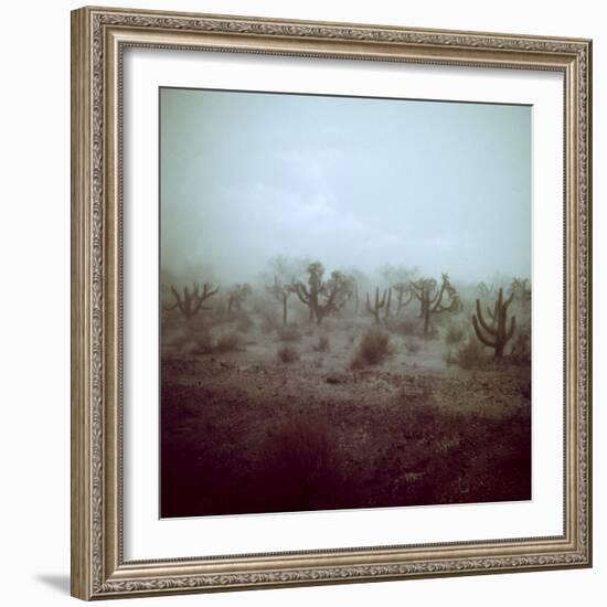 Summer Hail and Thunderstorm Falling on Desert-Loomis Dean-Framed Photographic Print