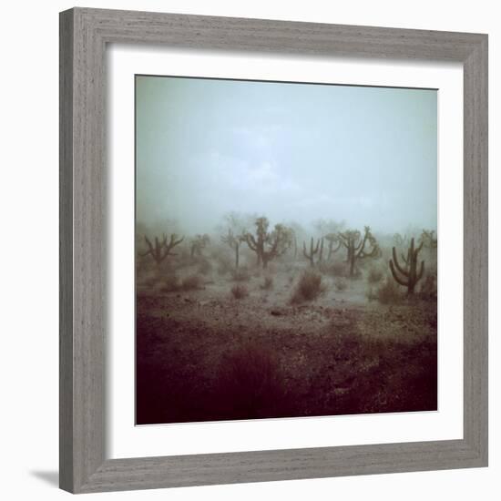 Summer Hail and Thunderstorm Falling on Desert-Loomis Dean-Framed Photographic Print