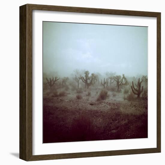 Summer Hail and Thunderstorm Falling on Desert-Loomis Dean-Framed Photographic Print