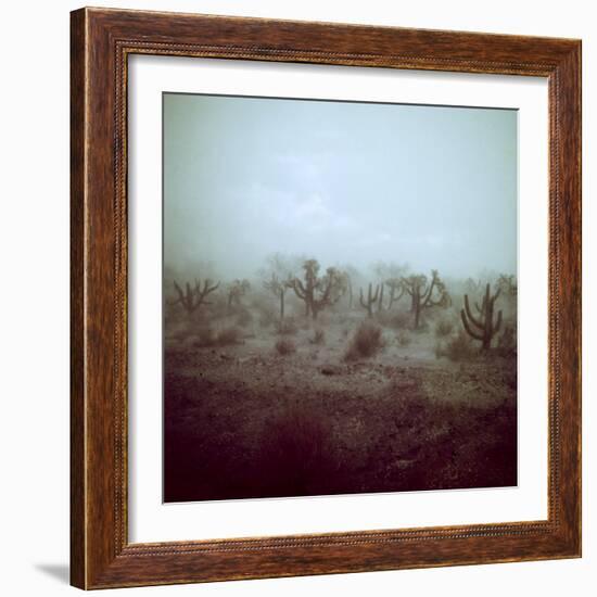 Summer Hail and Thunderstorm Falling on Desert-Loomis Dean-Framed Photographic Print