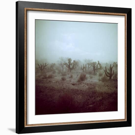 Summer Hail and Thunderstorm Falling on Desert-Loomis Dean-Framed Photographic Print