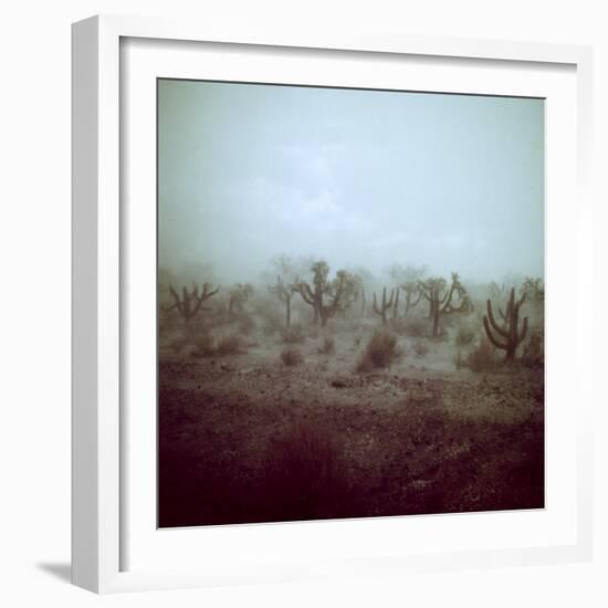 Summer Hail and Thunderstorm Falling on Desert-Loomis Dean-Framed Photographic Print