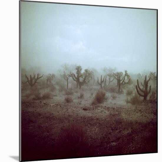 Summer Hail and Thunderstorm Falling on Desert-Loomis Dean-Mounted Photographic Print