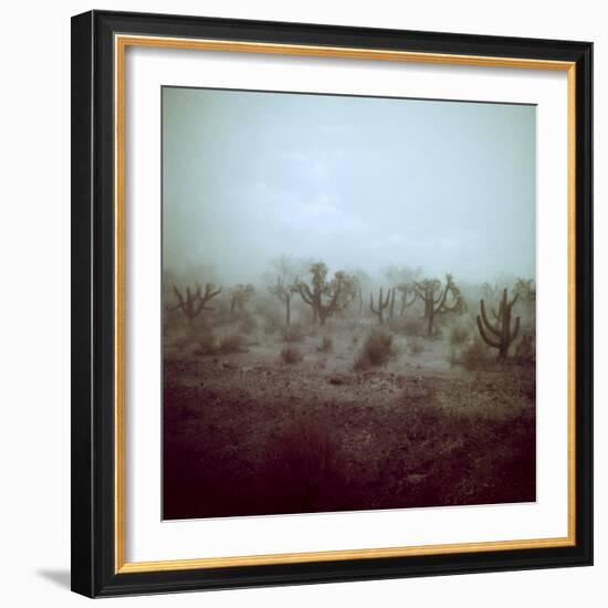 Summer Hail and Thunderstorm Falling on Desert-Loomis Dean-Framed Photographic Print