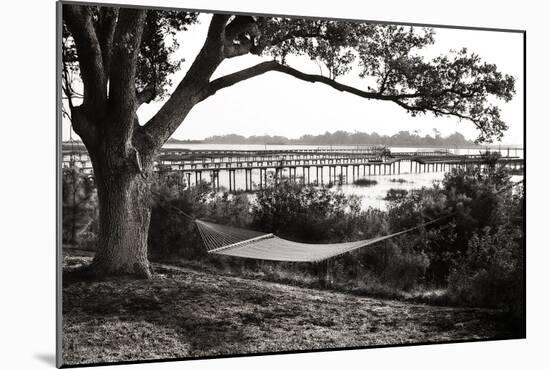 Summer Hammock I-Alan Hausenflock-Mounted Photographic Print