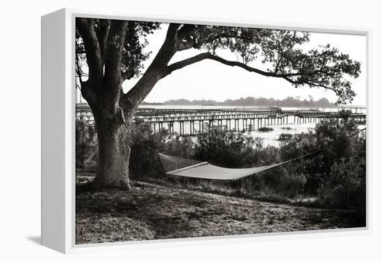 Summer Hammock I-Alan Hausenflock-Framed Premier Image Canvas