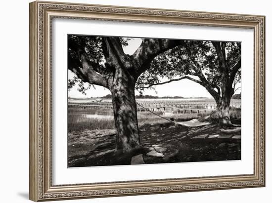 Summer Hammock II-Alan Hausenflock-Framed Photographic Print