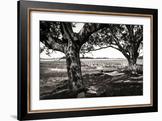 Summer Hammock II-Alan Hausenflock-Framed Photographic Print