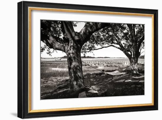 Summer Hammock II-Alan Hausenflock-Framed Photographic Print