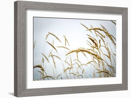 Summer Harvest-Andrew Geiger-Framed Giclee Print