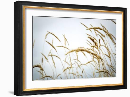 Summer Harvest-Andrew Geiger-Framed Giclee Print