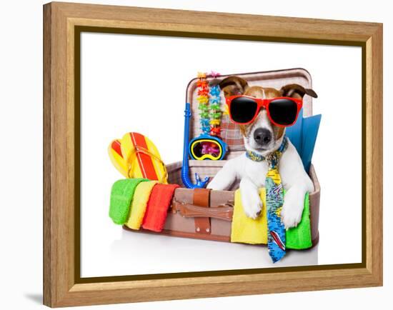 Summer Holiday Dog-Javier Brosch-Framed Premier Image Canvas