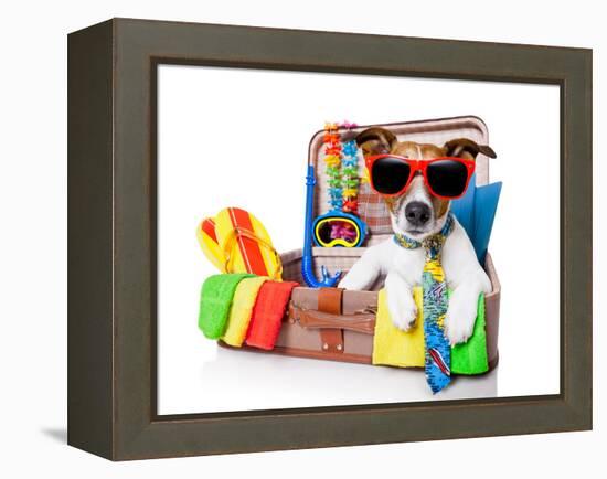 Summer Holiday Dog-Javier Brosch-Framed Premier Image Canvas