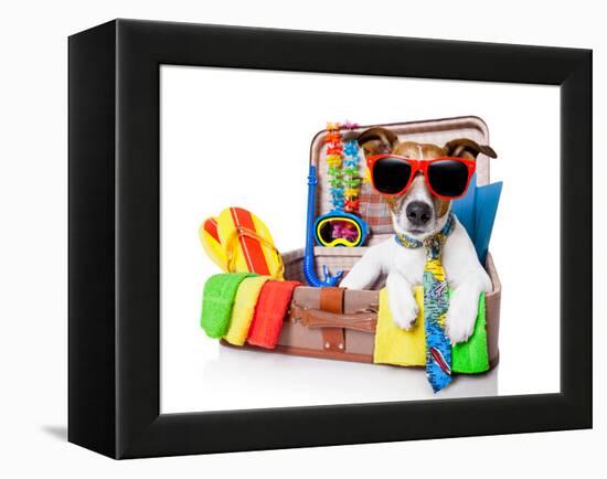 Summer Holiday Dog-Javier Brosch-Framed Premier Image Canvas