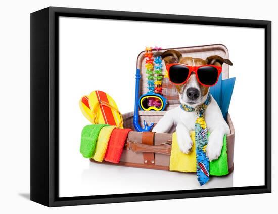 Summer Holiday Dog-Javier Brosch-Framed Premier Image Canvas