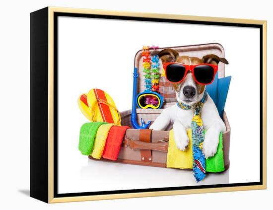 Summer Holiday Dog-Javier Brosch-Framed Premier Image Canvas