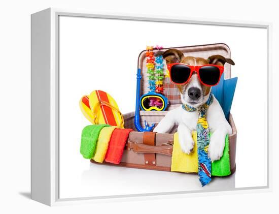 Summer Holiday Dog-Javier Brosch-Framed Premier Image Canvas