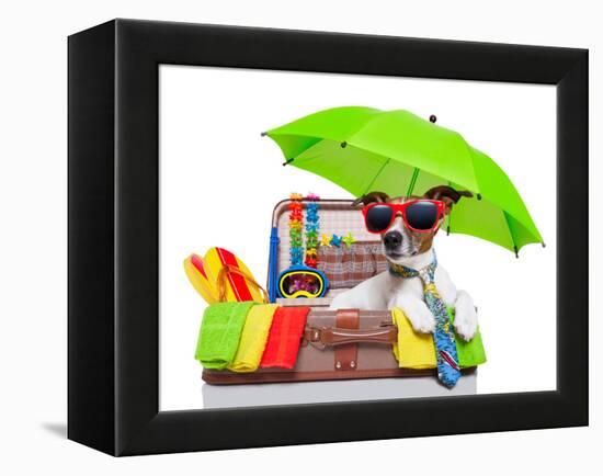 Summer Holiday Dog-Javier Brosch-Framed Premier Image Canvas